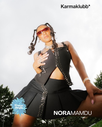 Frozen Jungle x Karmaklubb* & Friends Xmas Edition — vol. 3 (Vol. 5)