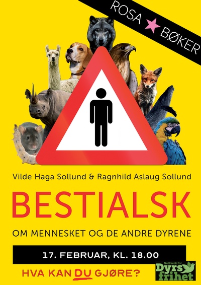 Bestialsk: Hva kan DU gjøre i møte med dyrs lidelse?