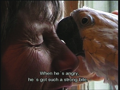 «Fuglinne/Birdess» av Anne-Lise Stenseth