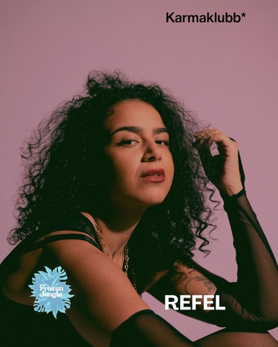 Frozen Jungle x Karmaklubb* & Friends Xmas Edition — vol. 3 (Vol. 5)